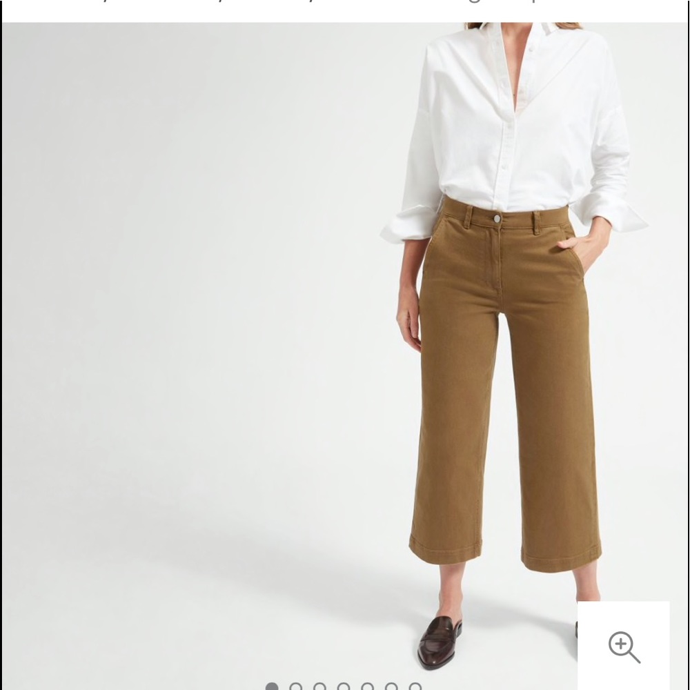 Everlane Wide Leg Pants in Brown